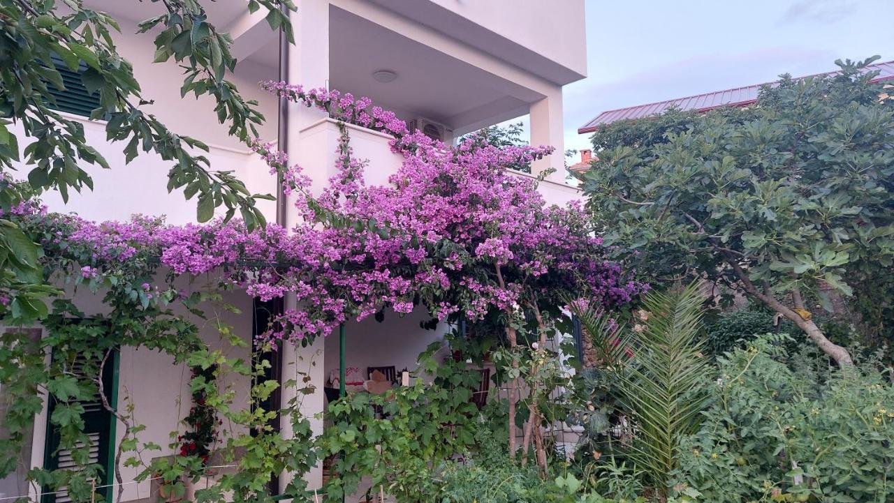 Apartments Plavi&Zuti زابوريتش المظهر الخارجي الصورة